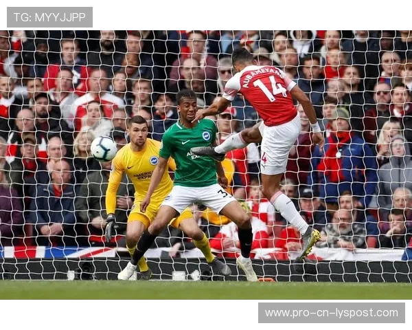 布莱顿将加强与欧洲二线俱乐部的租借合作，开启双赢新局面